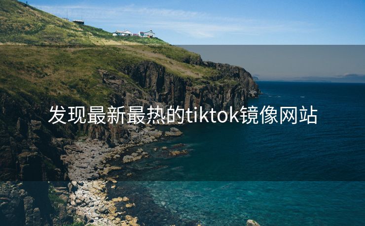 发现最新最热的tiktok镜像网站