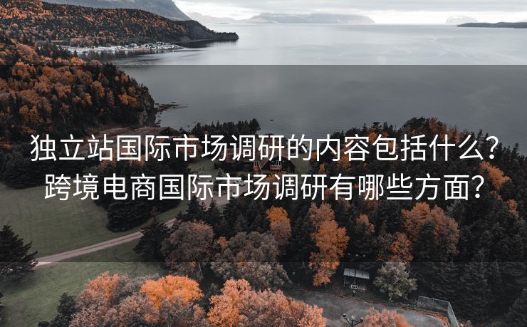 独立站国际市场调研的内容包括什么？跨境电商国际市场调研有哪些方面？