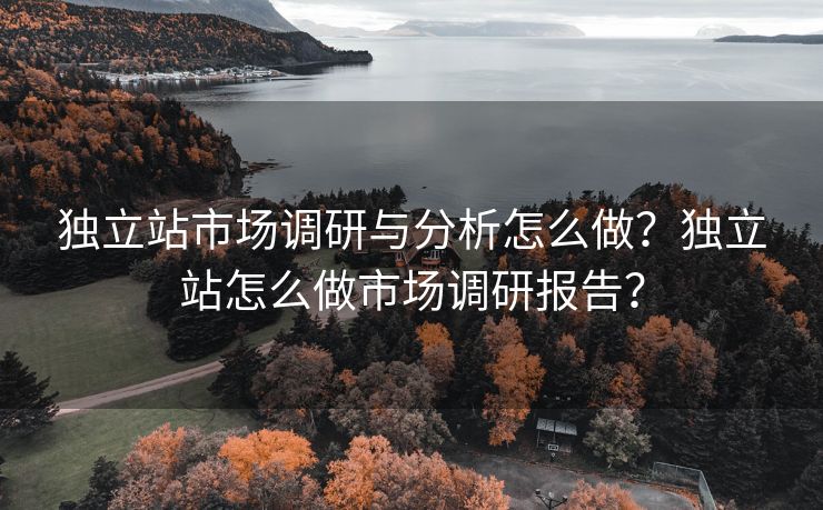 独立站市场调研与分析怎么做？独立站怎么做市场调研报告？