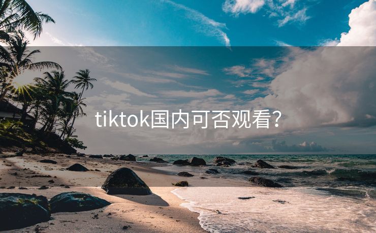 tiktok国内可否观看？