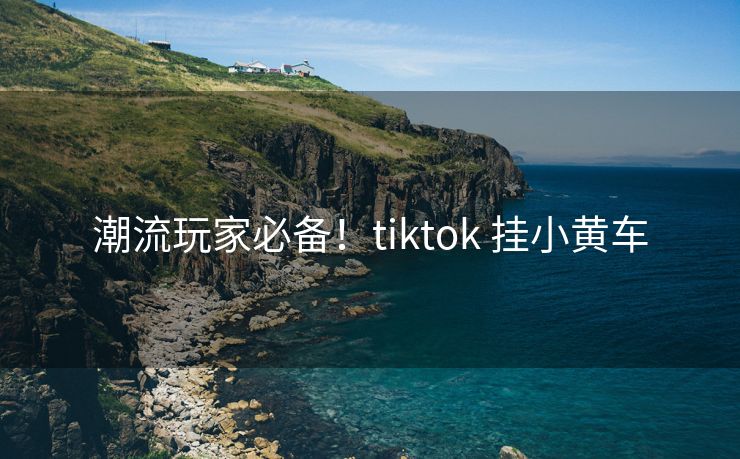 潮流玩家必备！tiktok 挂小黄车